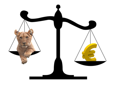 Început calm de săptămână pentru leu