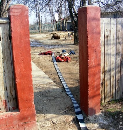 Crimă la Barcea: l-a omorât şi i-a spus cruce!