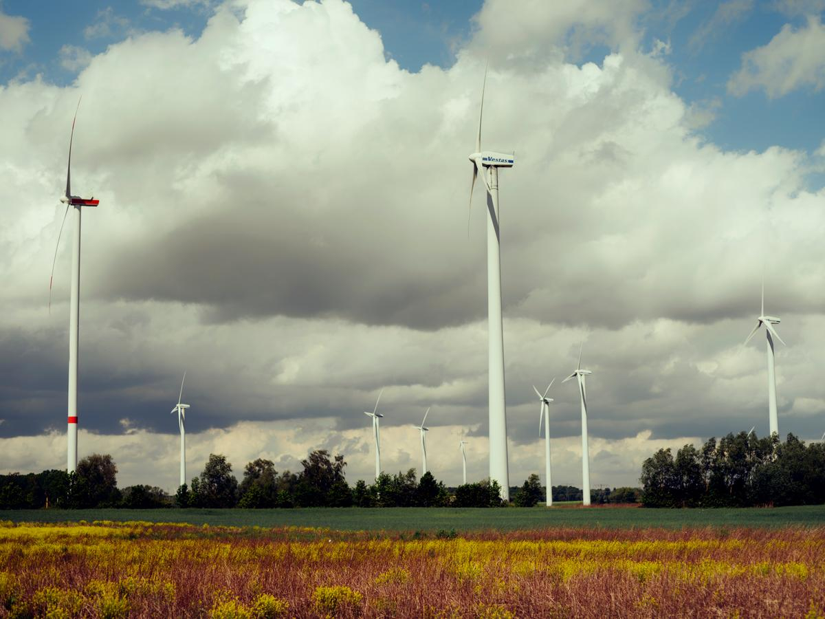Eurowind Energy începe construcția a două parcuri eoliene la Frumușița