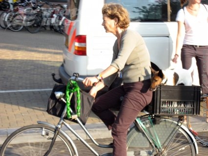 Piste pentru biciclişti în Galaţi