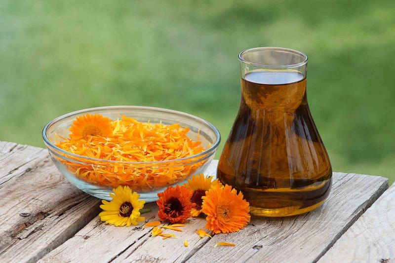 Gălbenelele, balsam natural pentru pacienții cu ulcer gastric