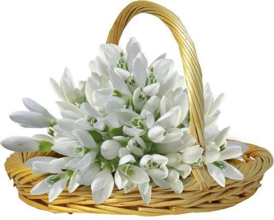 În sărbătoare/ 21 de gălăţeni cu numele Casian