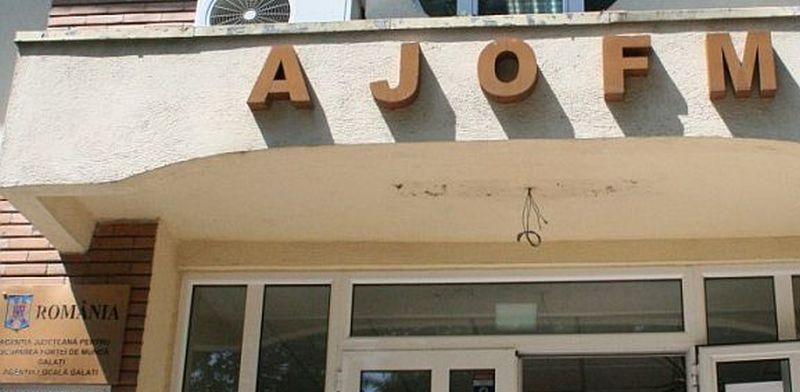 Locuri de muncă vacante