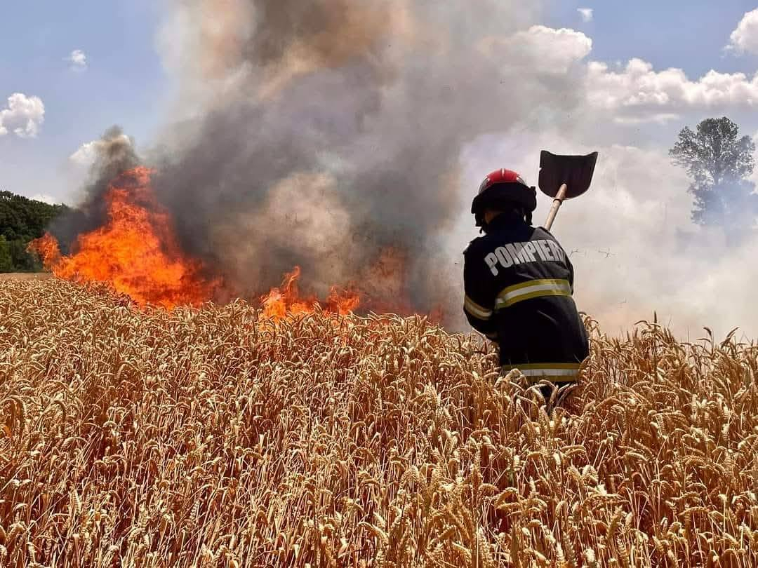 Anchete și sancțiuni după incendiul de la Târgu Bujor: Trei operatori economici amendați pentru nereguli grave