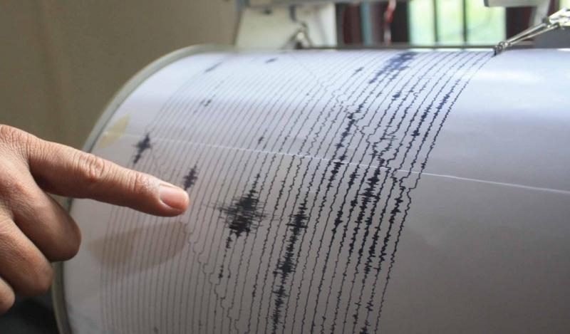 Cutremur de 4,2 grade pe scara Richter