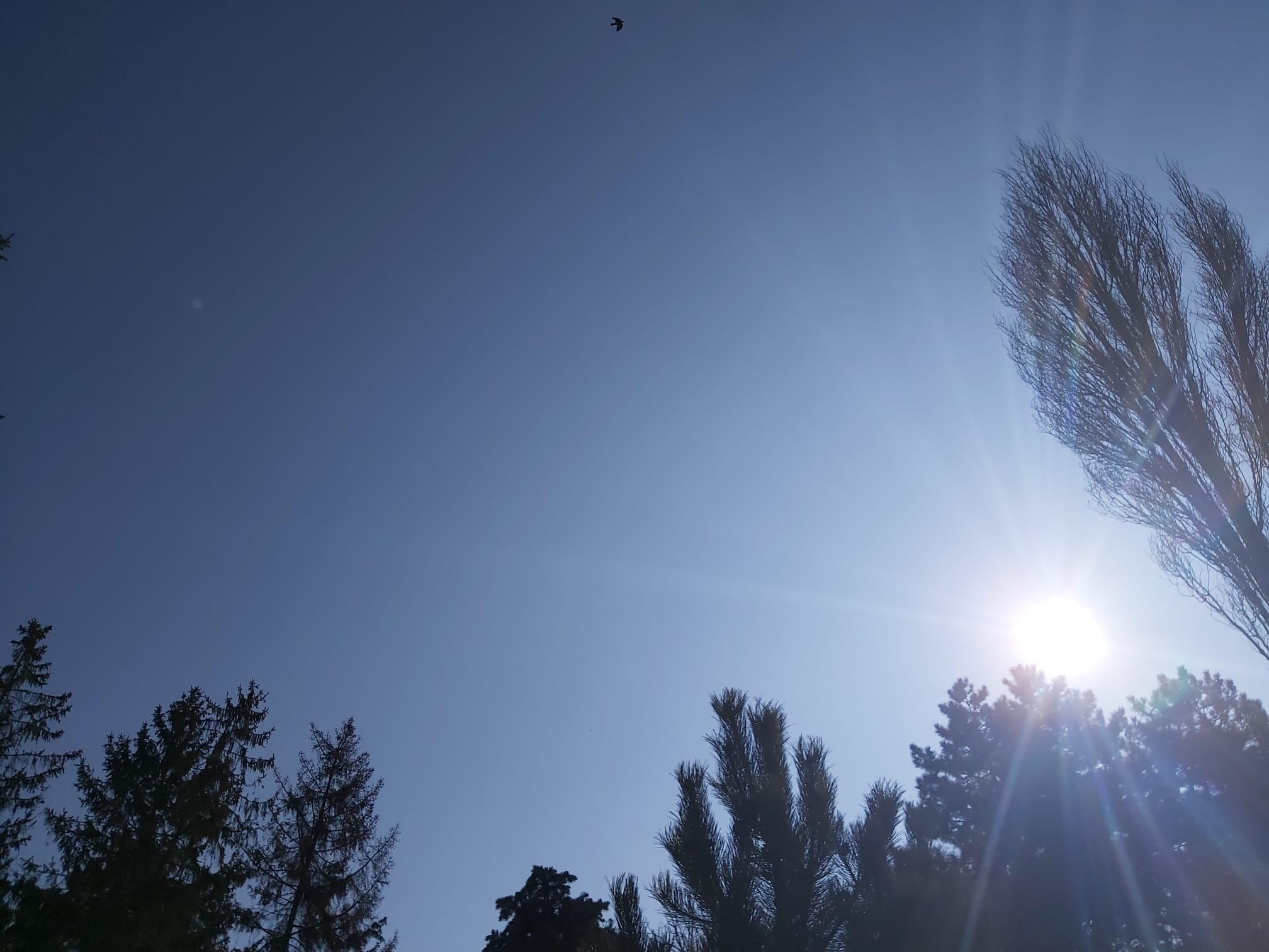 Vreme frumoasă, cu temperaturi de 16 grade