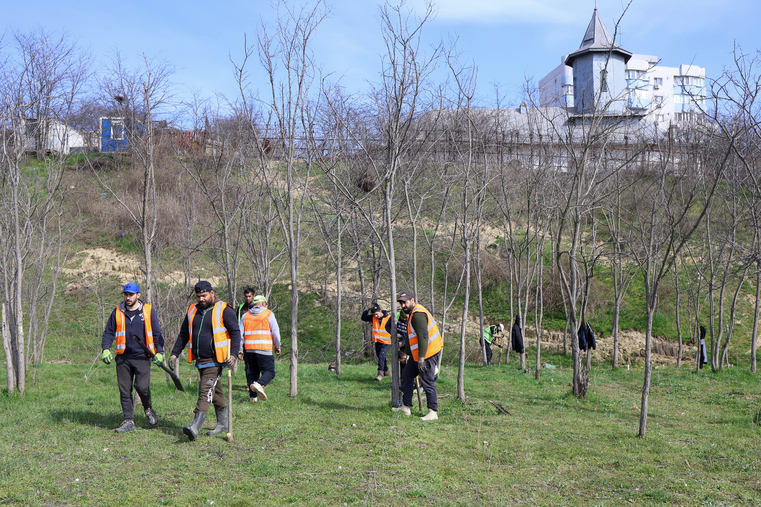 Viitoarele păduri urbane din Galaţi au început să prindă rădăcini