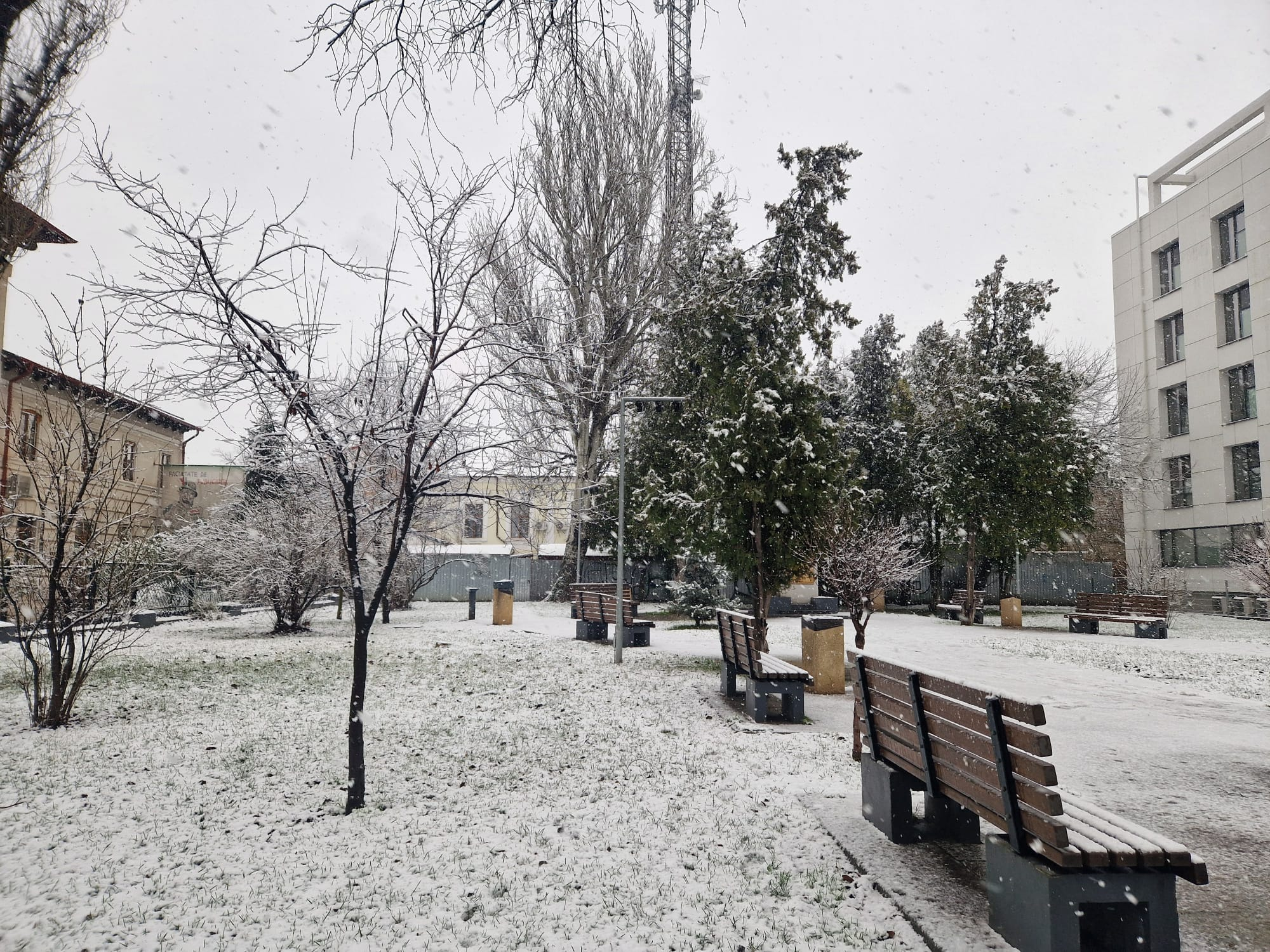 Cum va fi vremea în prima zi a săptămânii