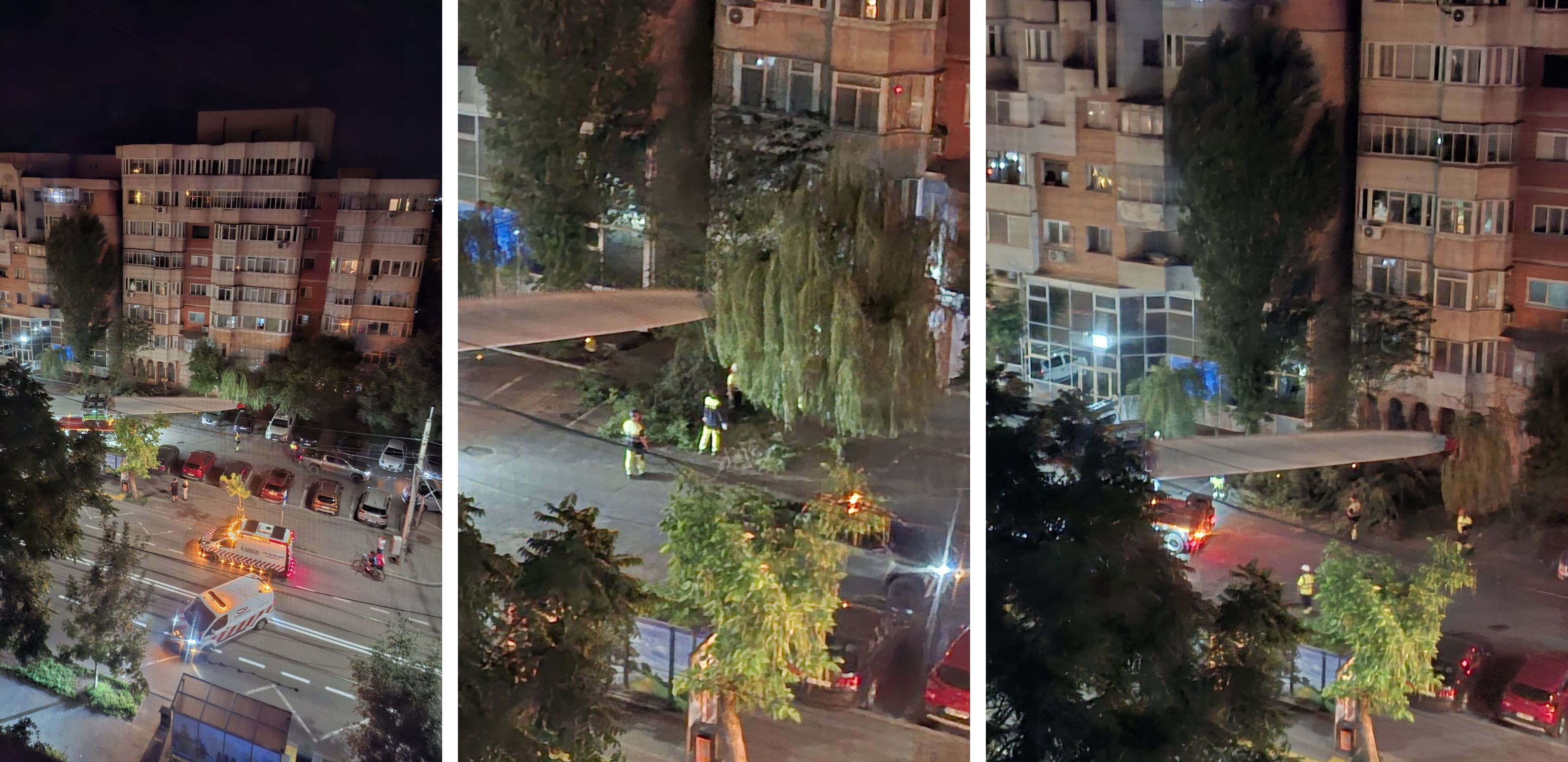 Copac pus la pământ, noaptea, pe strada Traian, pentru a permite transportul palei unei eoliene