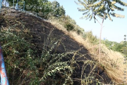 Foc pe Faleză
