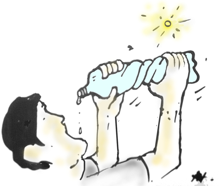 13 iulie 2012