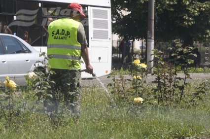 „Nu mai gâdilaţi iarba!”