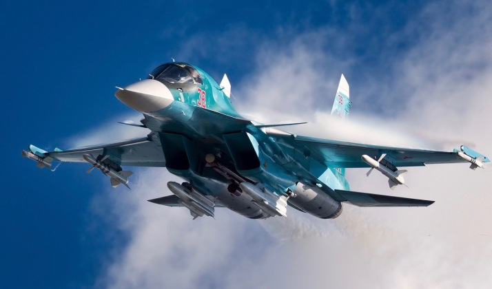 Doi pescăruși au doborât... un avion de vânătoare rusesc SU-34