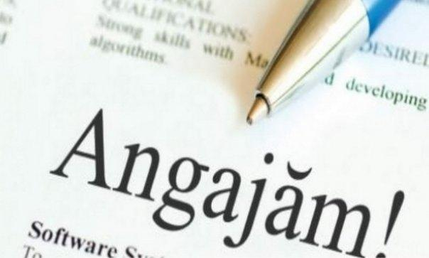 Mai multe locuri de muncă vacante
