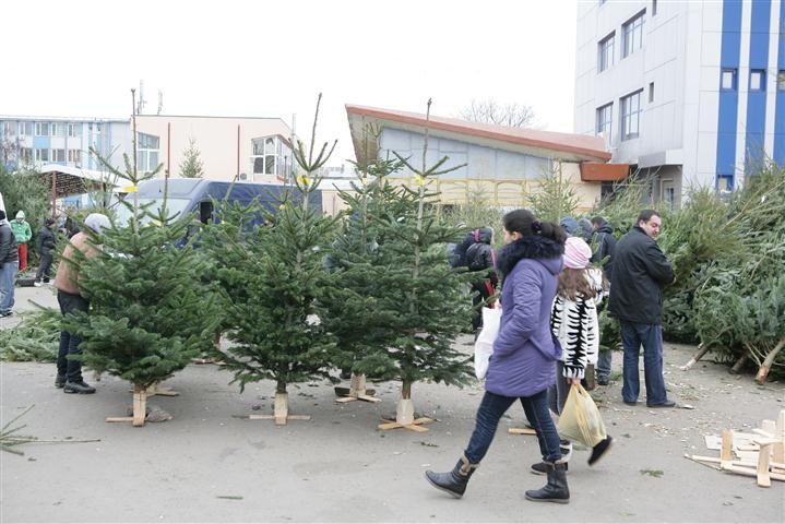 Tarife în scădere pentru pomul de Crăciun